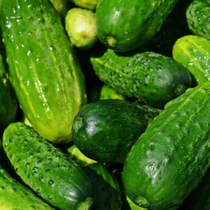 Boston Pickling Cucumber Seeds