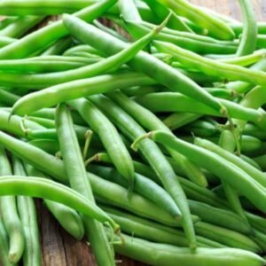 Kentucky Blue Pole Bean Seeds Canada - Green Beans | Vegetable Seeds Canada